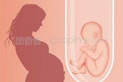 http://guangzhou.hy-ly.com/post/208.html|广州人工试管