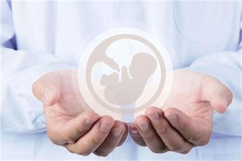 http://guangzhou.hy-ly.com/post/203.html|广州试管助孕